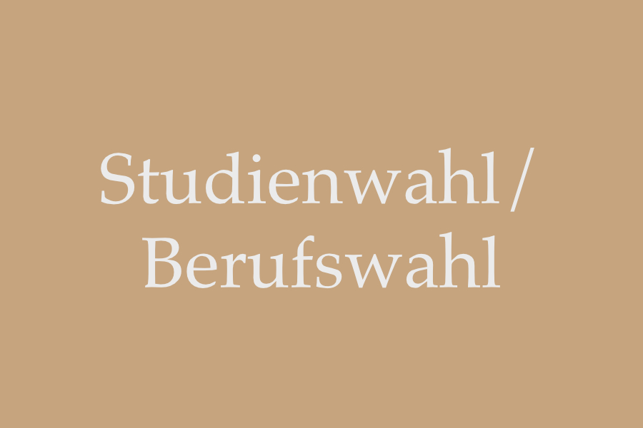 Studienwahl Berufswahl